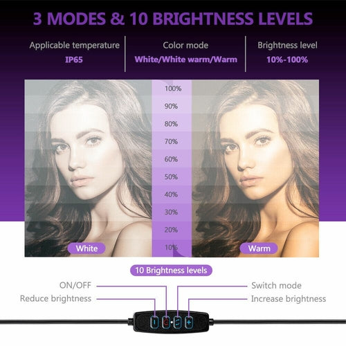 LED-Ringlicht mit Handy-Stativ-Set 10"